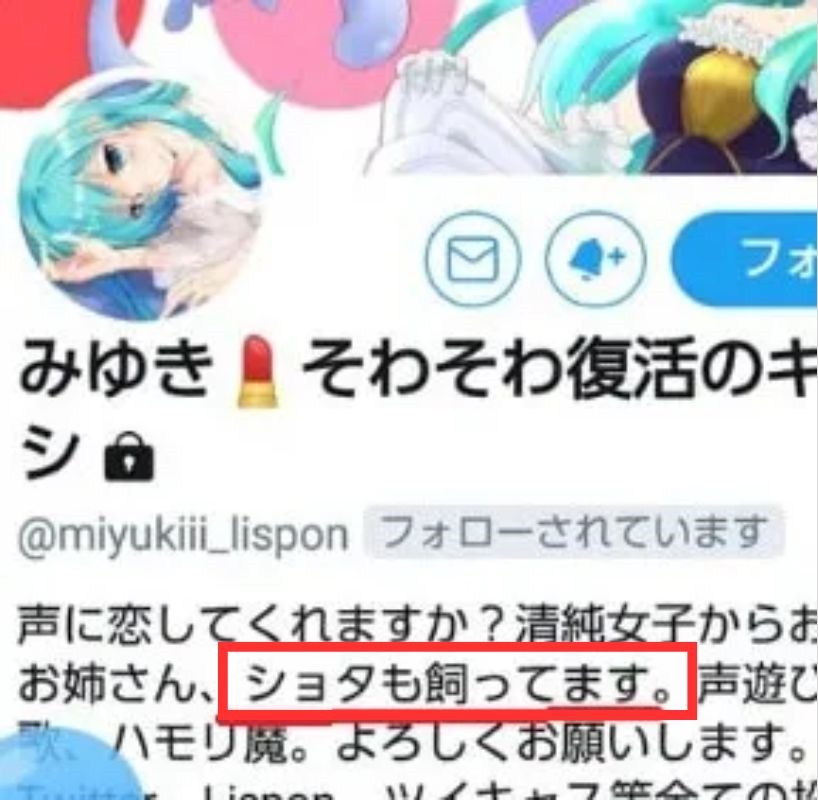 アキロゼ前世のTwitterプロフィール